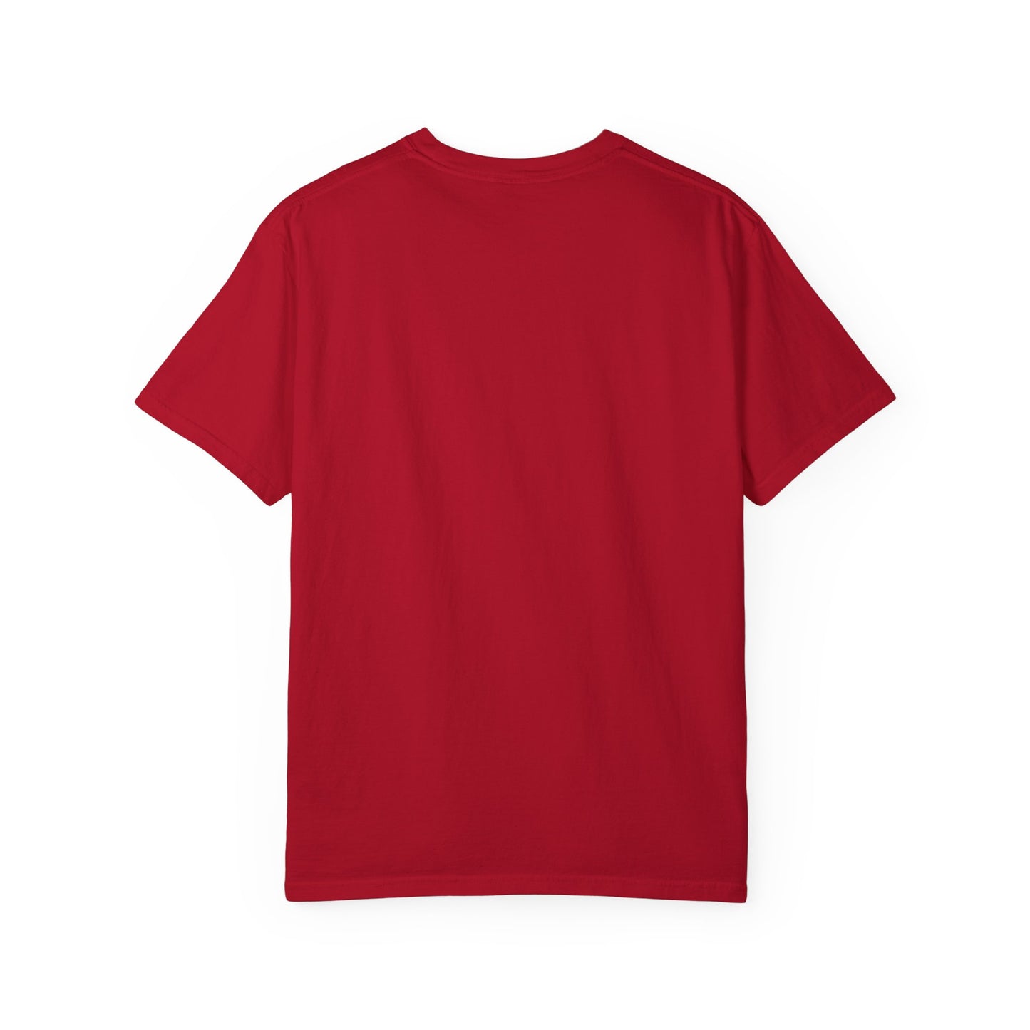 Inspirational Unisex Garment-Dyed T-Shirt - "We Were Meant For Something More"